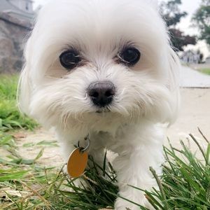 Meet your Posher, Arianna